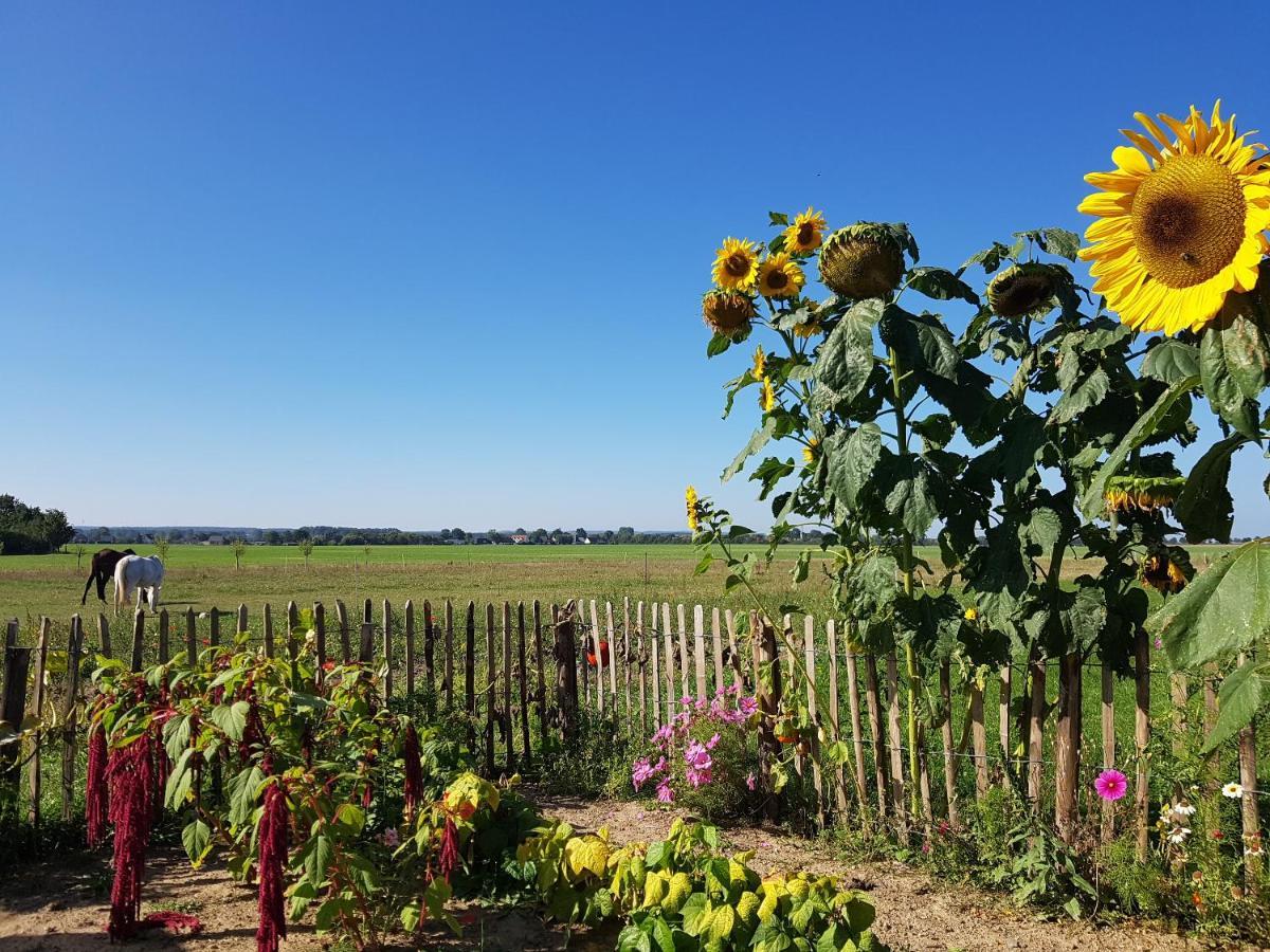 Heimatliebe Ferienwohnung Börgerende-Rethwisch Esterno foto