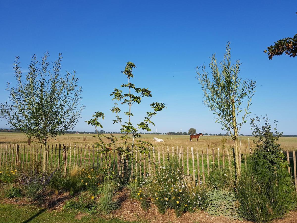 Heimatliebe Ferienwohnung Börgerende-Rethwisch Esterno foto